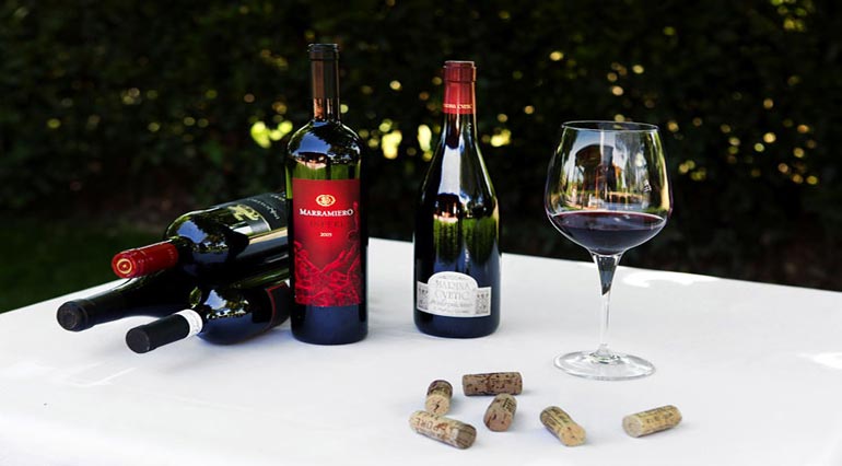 Montepulciano grapes and Montepulciano wine